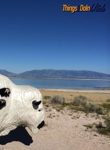 View from Antelope Island Visitor Center