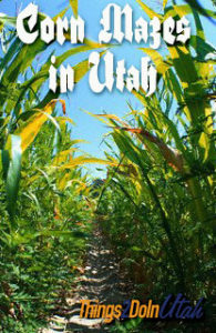 Corn Maze Utah