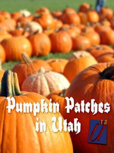 pumpkin patches in utah
