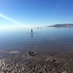 Swimming in Great Salt Lake